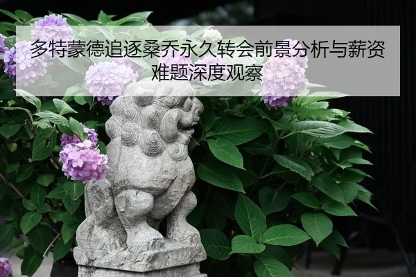 多特蒙德追逐桑乔永久转会前景分析与薪资难题深度观察
